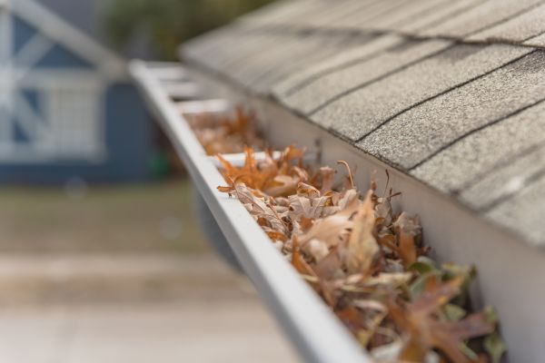 Leaf Barrier Installation in Peachtree City